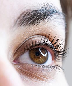 Lash Lift and Tint Services Near Me in Columbia and Catonsville, MD